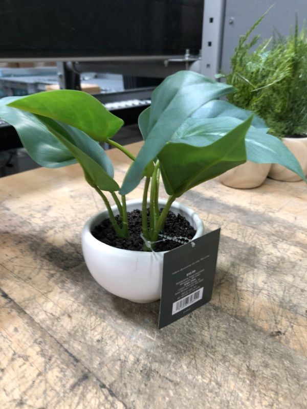 Photo 5 of 3 PACK) 2X Small Leaf in Footed Planter - Threshold™ + Small Snake Plant in Ceramic Pot White - Threshold™