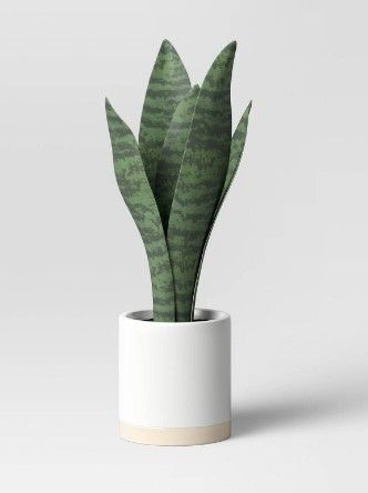 Photo 2 of 3 PACK) 2X Small Leaf in Footed Planter - Threshold™ + Small Snake Plant in Ceramic Pot White - Threshold™