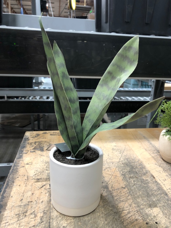 Photo 4 of 3 PACK) 2X Small Leaf in Footed Planter - Threshold™ + Small Snake Plant in Ceramic Pot White - Threshold™