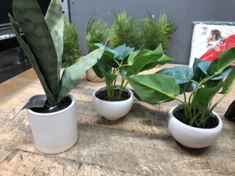 Photo 3 of 3 PACK) 2X Small Leaf in Footed Planter - Threshold™ + Small Snake Plant in Ceramic Pot White - Threshold™