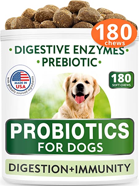 Photo 1 of **EXPIRES FEB2024** Dog Probiotics Chews - Gas, Diarrhea, Allergy, Constipation, Upset Stomach Relief, with Digestive Enzymes + Prebiotics - Chewable Fiber Supplement - Improve Digestion, Immunity - Made in USA
