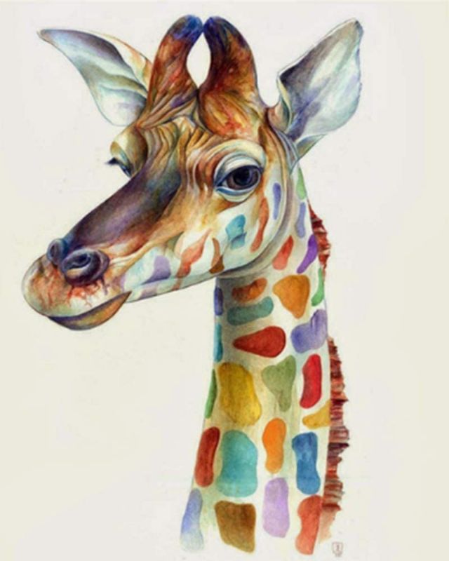 Photo 1 of 4 PACK - iCoostor Paint by Numbers DIY Acrylic Painting Kit for Kids & Adults Beginner - 16" x 20" Giraffe Pattern
