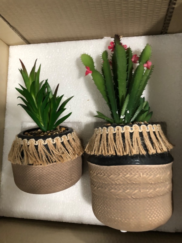 Photo 1 of 2pc plant decor