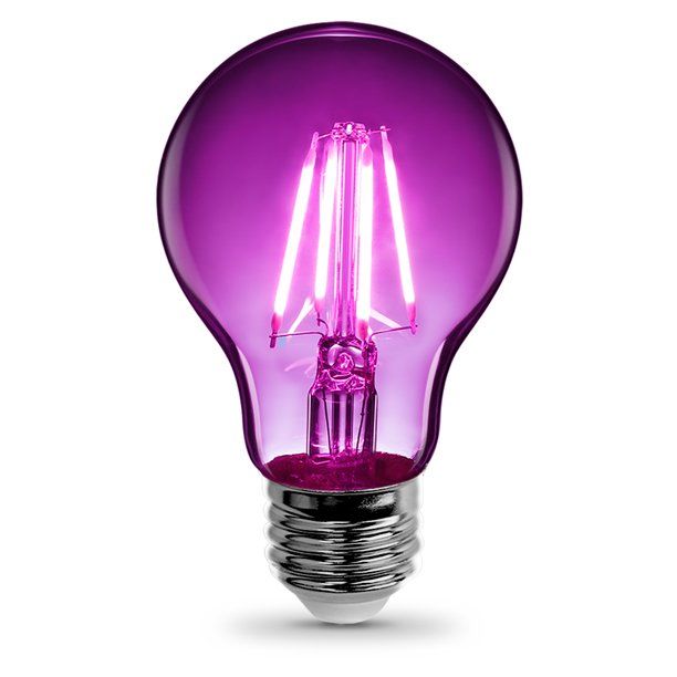 Photo 1 of 3765112 3.6 Watt a-Line A19 Filament LED Bulb Purple 2 pack 
