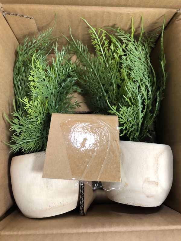 Photo 2 of 2 Pack of Sm Asparagus Fern - Threshold™