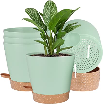 Photo 1 of All House Plants Flower Pot (Green) 5 Packs 