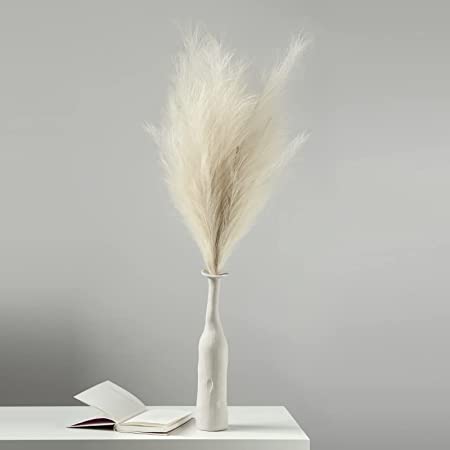 Photo 1 of 3 Stems Beige Faux Pampas Grass