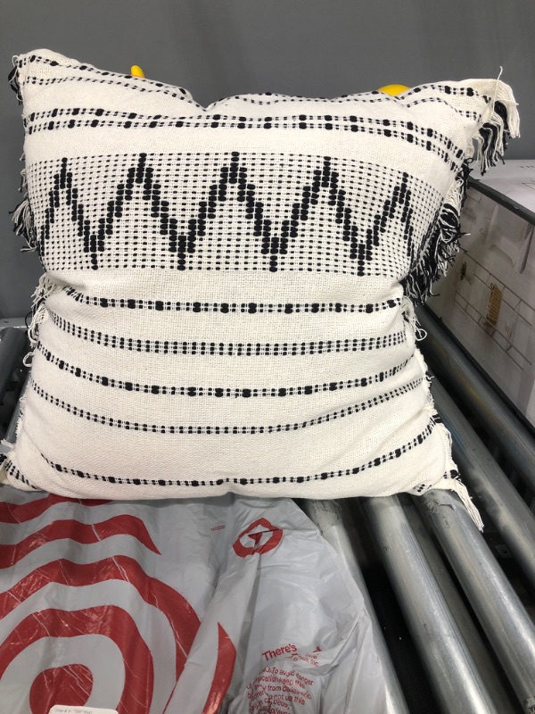 Photo 1 of 23" x 23" Black & White Fringe Throw Pillow