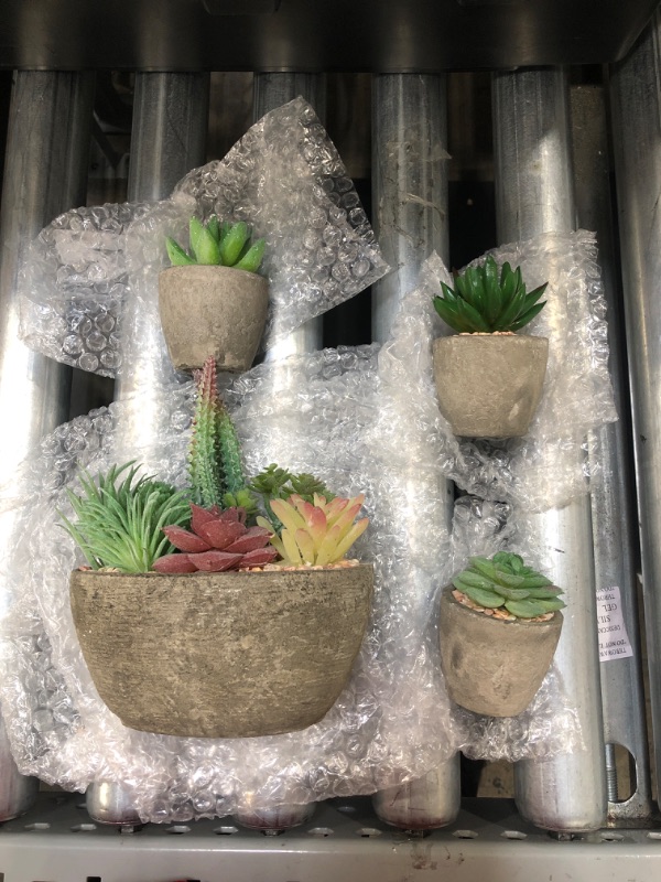 Photo 1 of 5pcs Flocked Artificial Potted Succulent Plants