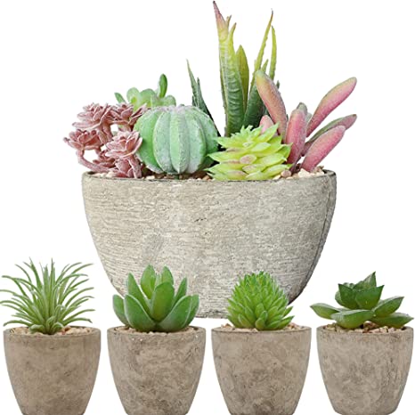 Photo 1 of 5pcs Flocked Artificial Potted Succulent Plants