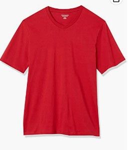 Photo 1 of Amazon Essentials Regular-Fit Short-Sleeve V-Neck T-Shirt, Pack of 1, L