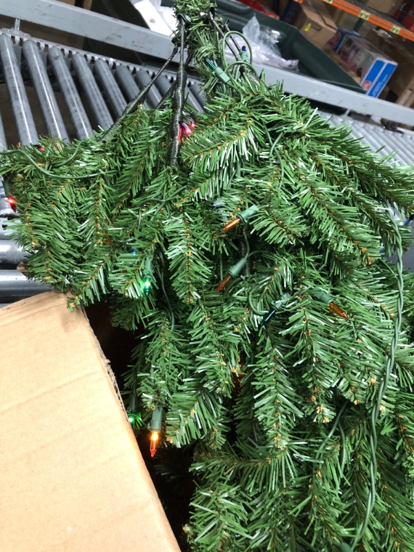 Photo 3 of ***USED*** SOME LIGHTS DONT LIGHT UP*** National Tree Company Artificial Pre-Lit Slim Christmas Tree, Green, Kingswood Fir, Multicolor Lights, Includes Stand, 7 Feet 7 ft