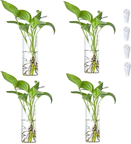 Photo 1 of 4 Pcs 7.5" Wall Hanging Planters Glass Terrariums - Cylindrical Plants Holders Air Plants Succulents Planters Flowers Glass Wall Vase Containers for Decor Indoor Garden
