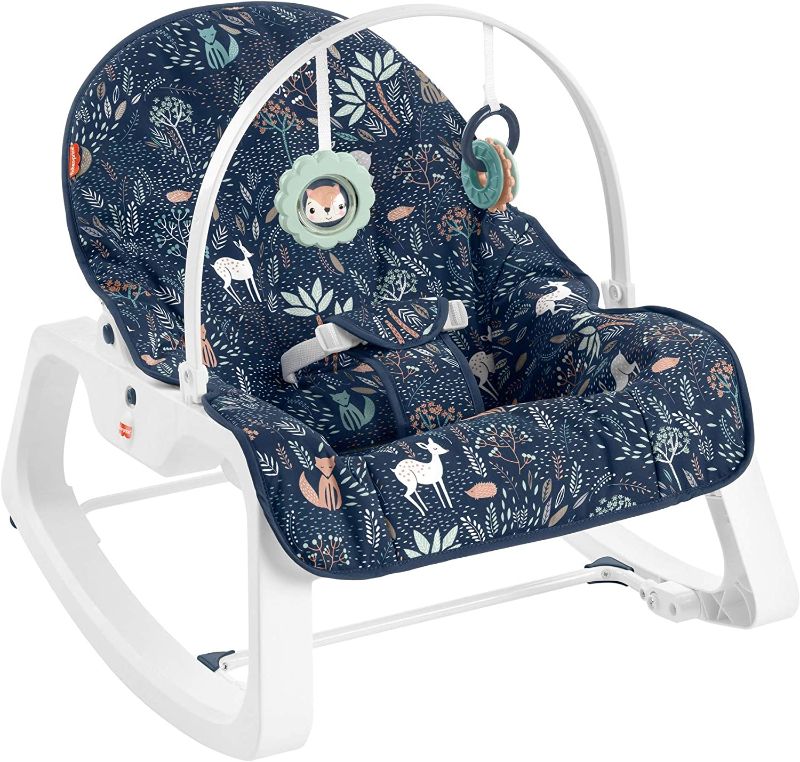 Photo 1 of Fisher-Price Infant-to-Toddler Rocker