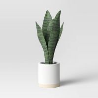 Photo 1 of 4pck Small Snake Plant in Ceramic Pot White - Threshold™