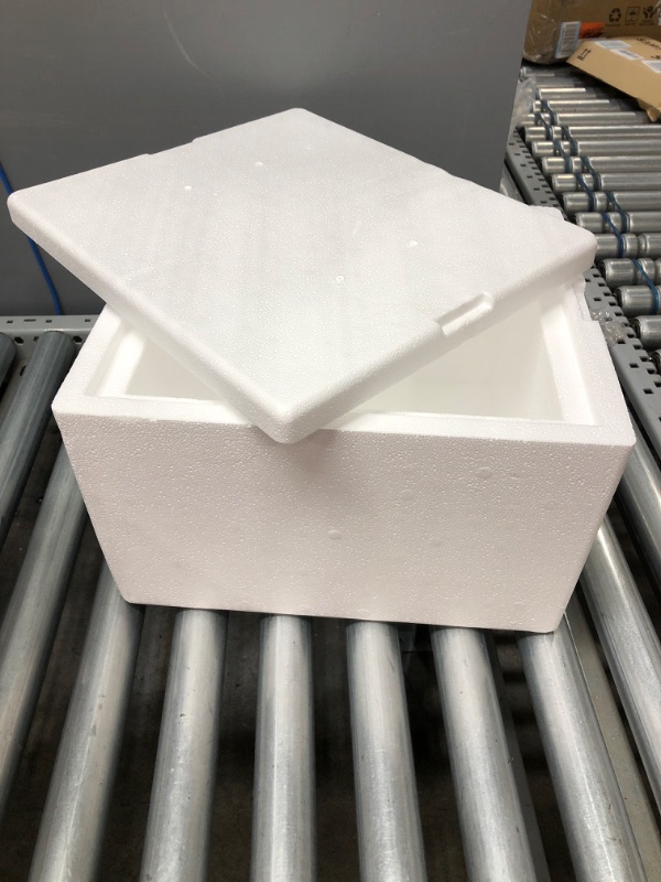 Photo 1 of  Foam Cooler, 5" Height, 10" Wide, 12" Length