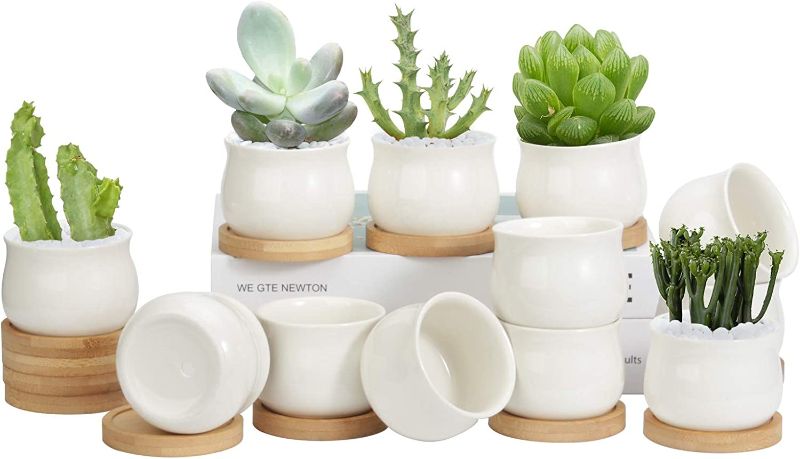 Photo 1 of 12 Pack Succulent Pots, 2.6 Inch ZOUTOG Mini Ceramic Pots for Flower or Cactus with Drainage Hole, Small Pots for Plants, Plants Not Included
