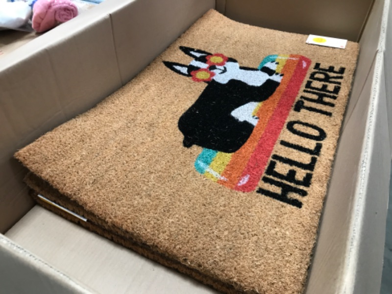 Photo 2 of 4 PACK: 1'6"x2'6" Hello Summer Dog Doormat Natural - Sun Squad™

