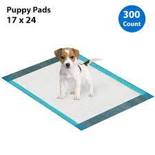 Photo 1 of 75ct 25x25 pet pads