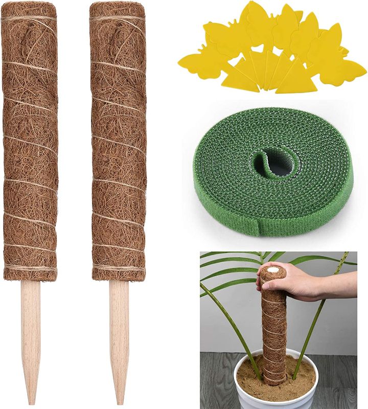 Photo 1 of **SET OF 3* HmiL-U Moss Pole for Climbing Plants 28.5 Inch| 2 Coco Coir Poles|Support Indoor Plants to Grow Upwards| Plant Support for Monstera Plants, Money Plants and...
