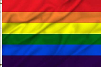 Photo 1 of **SET OF 2* YESON Rainbow Flag 3x5 Foot - Gay Pride Banner Flag
