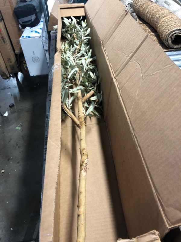 Photo 1 of (DAMAGED TRUNK) Indoor 82 in. Artificial Olive Tree