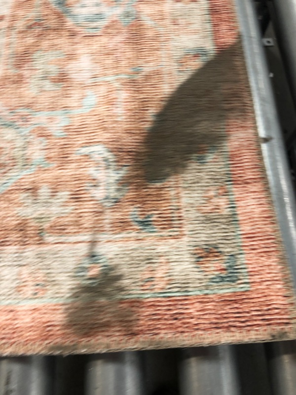 Photo 1 of (DIRTY )Spring Valley Home Heidi HEI-01 Area Rug, 8'6" x 11'6" 