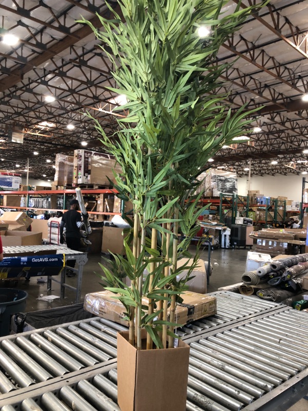 Photo 2 of 64 in. Artificial Bamboo Silk Tree