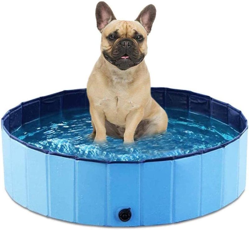 Photo 1 of Foldable Pet Dog swimming Pool, Hard Plastic Collapsible Pet Bath, Indoor & Outdoor Tub for Puppy Small Dogs Cats and Kids (Blue-32”×8”)
