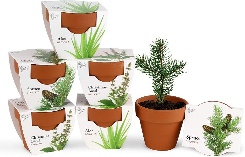 Photo 1 of ***6 Pack*** Small Mini Clay Pots with Drainage Holes 