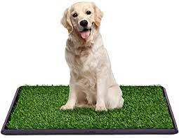 Photo 1 of  Dog Puppy Pet Potty Pad, Home Training Toilet Pad, Grass Surface Portable Dog Mat