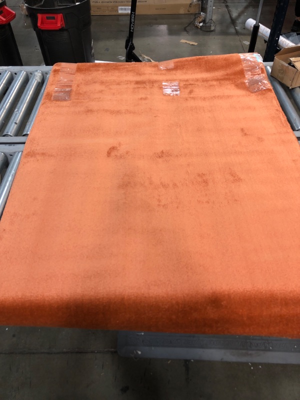 Photo 1 of 3x5ft orange area rug