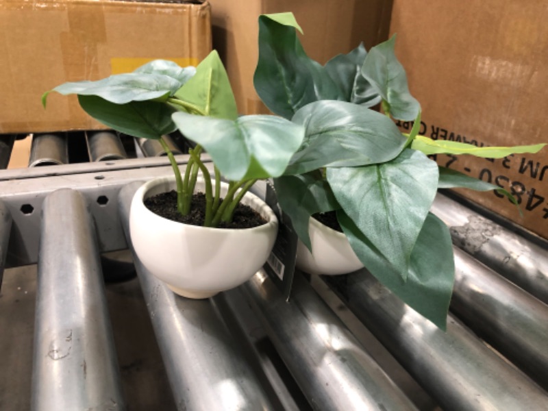 Photo 1 of 2 PACK*
Small Leaf in Footed Planter - Threshold™


