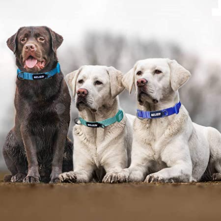 Photo 1 of azuza 3 Pack Dog Collars, Soft & Comfortable Dog Collars for Small, Medium and Large Dogs, 4 Sizes and 2 Patterns