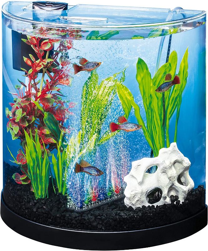 Photo 1 of Tetra ColorFusion Starter aquarium Kit 3 Gallons, Half-Moon Shape, With Bubbler And Color-Changing Light Disc
