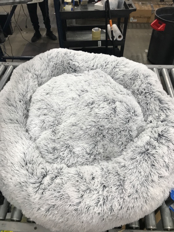 Photo 2 of Best Friends by Sheri Bundle Savings - The Original Calming Donut Dog Bed in Shag Fur + Additional Shell Cover + Pet Throw Blanket, Frost, Extra Large 45" x 45"