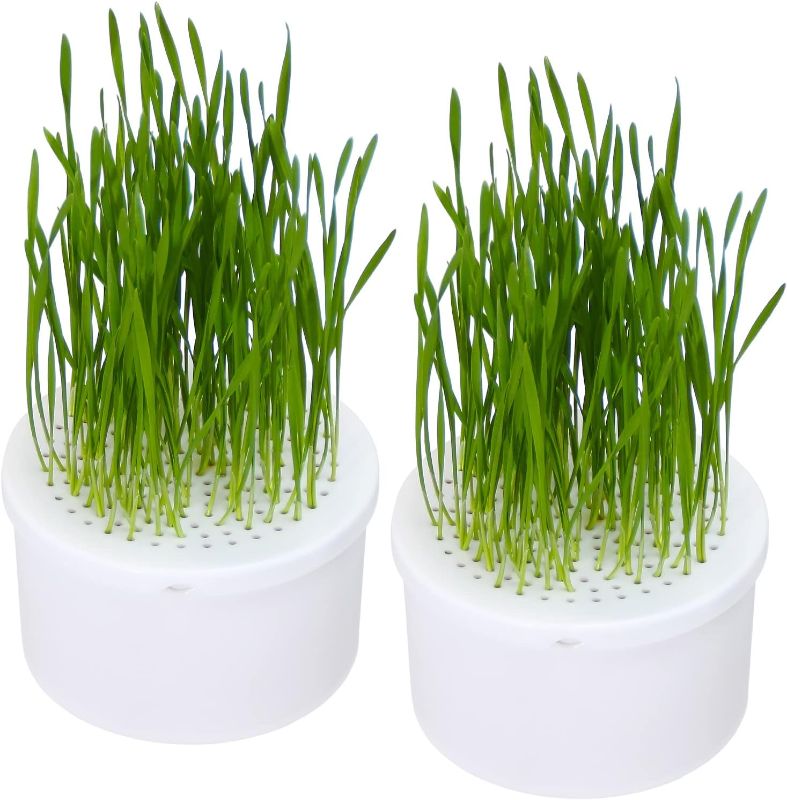 Photo 1 of  2Pcs Hydroponic Cat Grass Planter (no Seeds Included), Soil Free, No Dirt No Mess No Smell, Anti Digging Design, Easy to Plant Cat Grass Kit, Cat Grass for Indoor Cats Pets (Matte White)