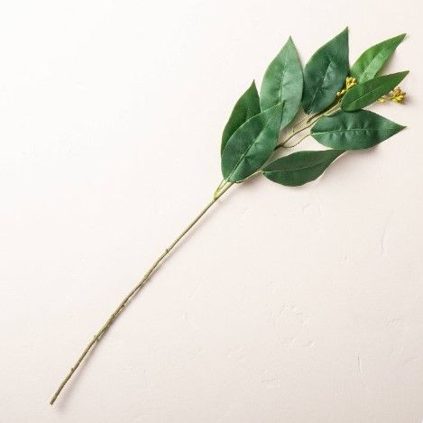 Photo 1 of 6pk-22" Faux Long Leaf Eucalyptus Plant Stem - Hearth & Hand™ with Magnolia

