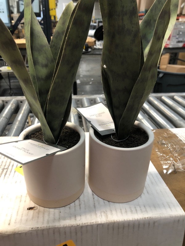 Photo 2 of 2 PACK**Small Snake Plant in Ceramic Pot White - Threshold
Dimensions (Overall): 11 Inches (H) x 7 Inches (W) x 7 Inches (D)
