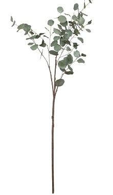 Photo 1 of Creative Co-Op Faux Eucalyptus Branch Artificial Plants, Green
