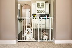 Photo 1 of **used**
Extra Tall Maxi Gate W/ Pet Door

