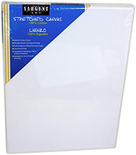 Photo 1 of (BROKEN FRAME) Sargent Art 90-2008 20x30-Inch Stretched Canvas, 100% Cotton Double Primed , White