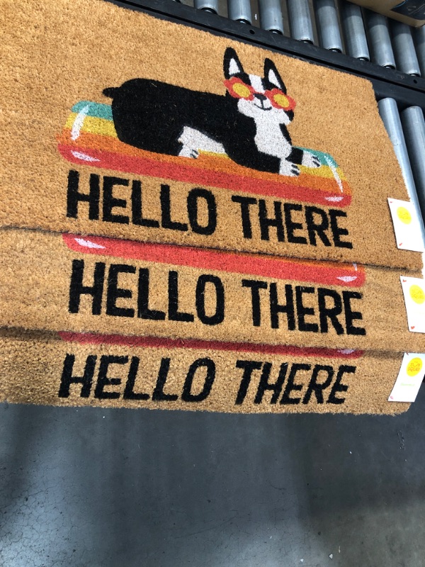 Photo 2 of 1'6"x2'6" Hello Summer Dog Doormat Natural - Sun Squad 3 PACK.

