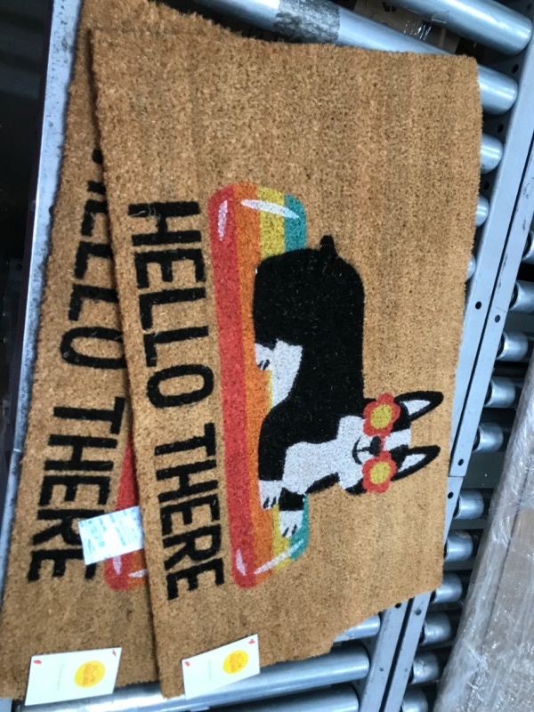 Photo 2 of 1'6"x2'6" Hello Summer Dog Doormat Natural - Sun Squad™ PACK OF 2

