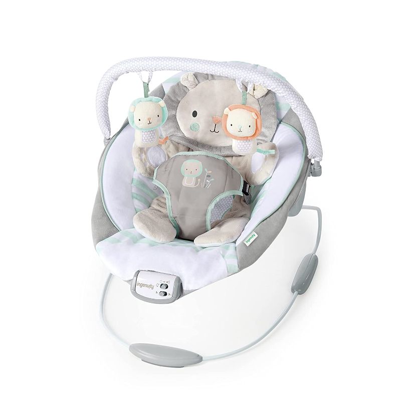 Photo 1 of Ingenuity Baby Bouncer Seat