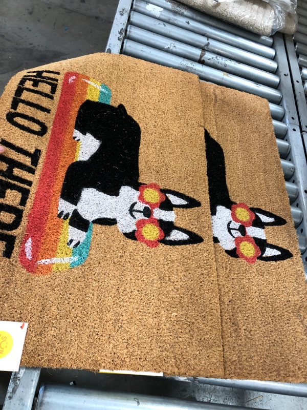 Photo 2 of 1'6"x2'6" Hello Summer Dog Doormat Natural - Sun Squad™-2 pack 

