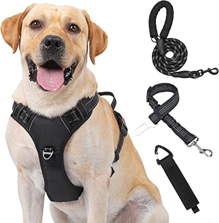 Photo 1 of Kindacoool Dog Harness, Front Lead No Pull Dog Harness, Reflective Adjustable Soft Padded Vest with 5FT Dog Leash, Dog Seat Belt and Storage Strap, Vest Set for Small Dogs(Black?S)
