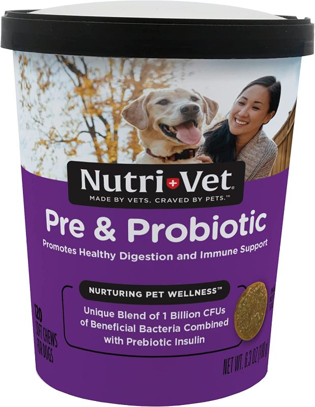 Photo 1 of ** bundle of 2 items ** Nutri-Vet Pre and Probiotic Soft Chews for Dogs | Digestive Health Support Dog Probiotics | Tasty Alternative to Dog Probiotic Powder | 120 Soft Chews | Liver, Cheese
**Expires 05/23**