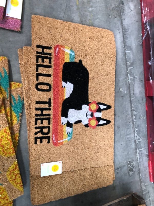 Photo 2 of 1'6"x2'6" Hello Summer Dog Doormat Natural - Sun Squad™
