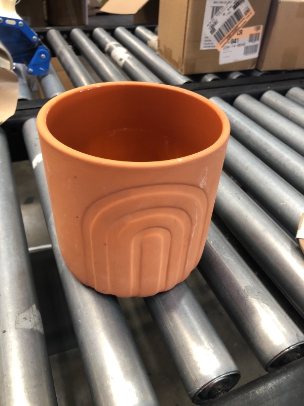 Photo 2 of 6" Oval Indoor/Outdoor Terracotta Planter Red - Project 62™

